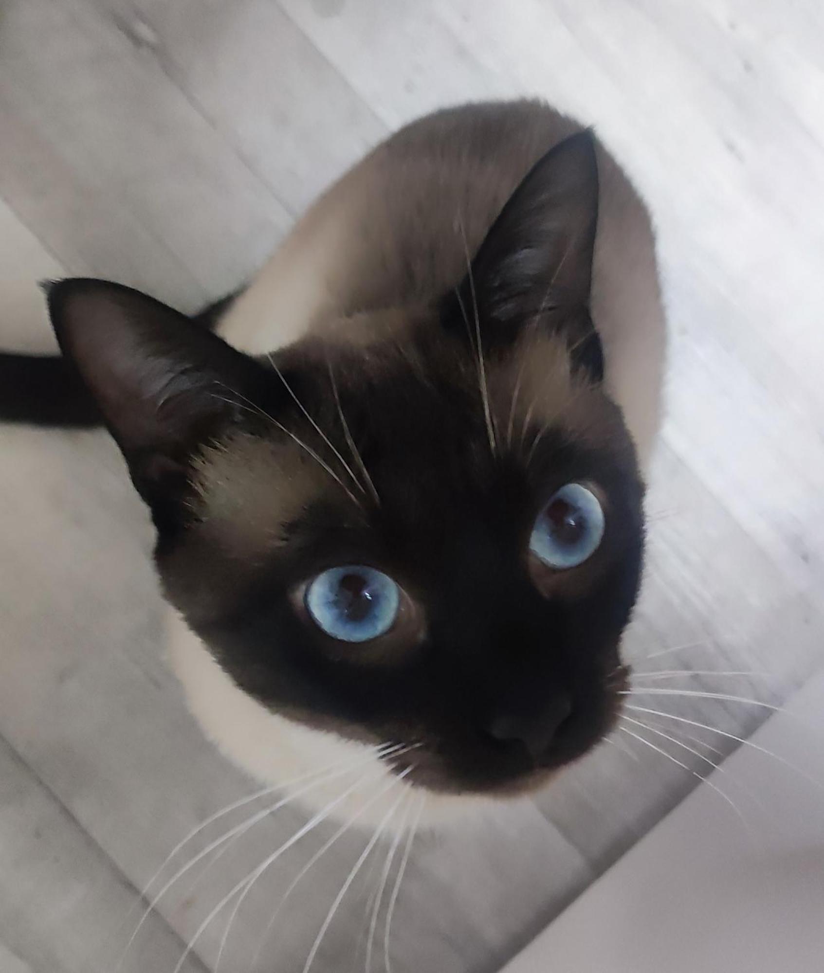 Гостьовий будинок Mascotas Brais San Miguel Reinante Екстер'єр фото